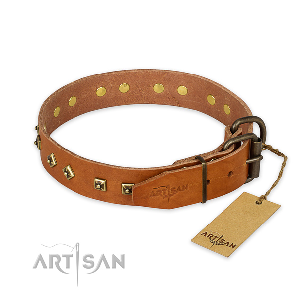 Corrosion proof buckle on full grain natural leather collar for stylish walking your four-legged friend