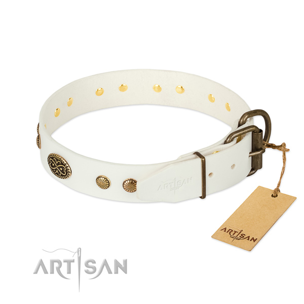 Corrosion resistant D-ring on natural leather dog collar for your four-legged friend