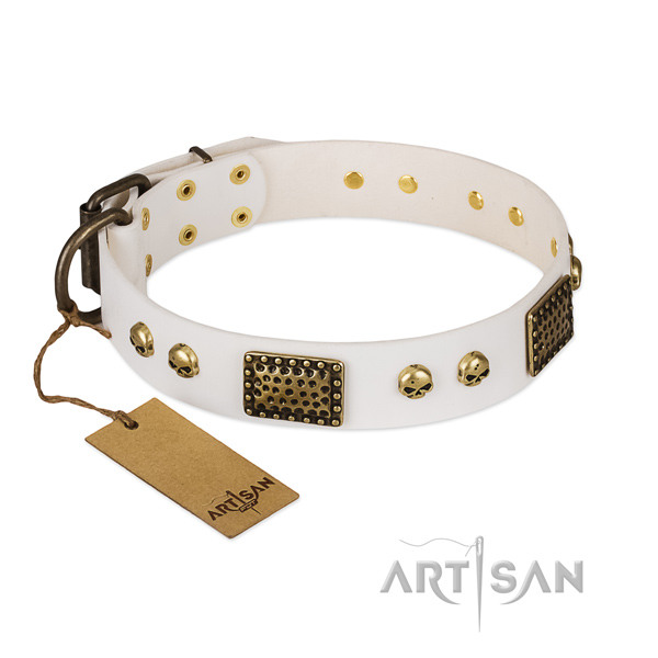 Rust resistant decorations on everyday walking dog collar