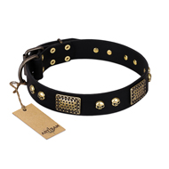 "Biker Style" FDT Artisan Black Leather Belgian Malinois Collar with Old Bronze Look Plates and Skulls "Biker Style" FDT Artisan Black Leather Belgian Malinois Collar with Old Bronze Look Plates and Skulls