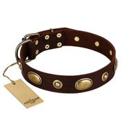 "Hebe's Jewel" FDT Artisan Brown Genuine Leather Belgian Malinois Collar