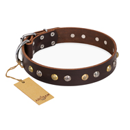"Rare Flower" FDT Artisan Brown Leather Belgian Malinois Collar Adorned with Old-look Hemisphere Studs