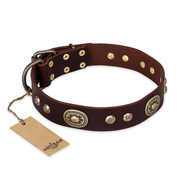 "Breath of Elegance" FDT Artisan Decorated with Plates Brown Leather Belgian Malinois Collar