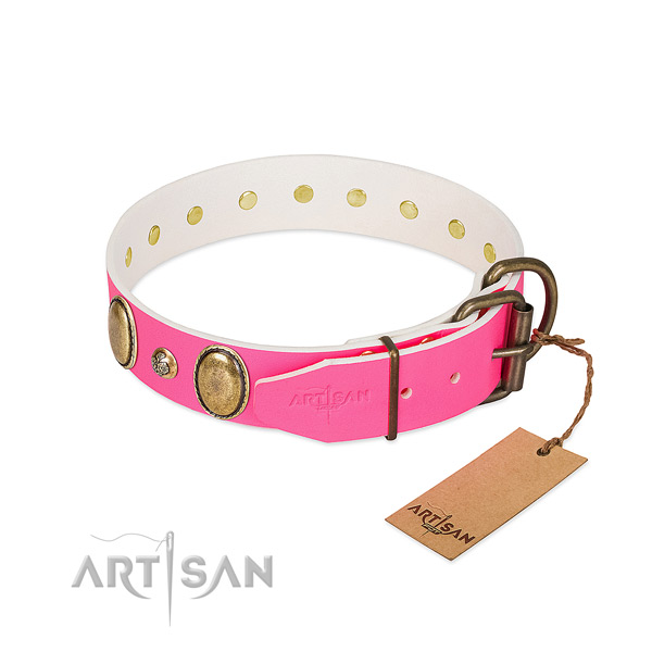 Stylish walking top rate full grain leather dog collar