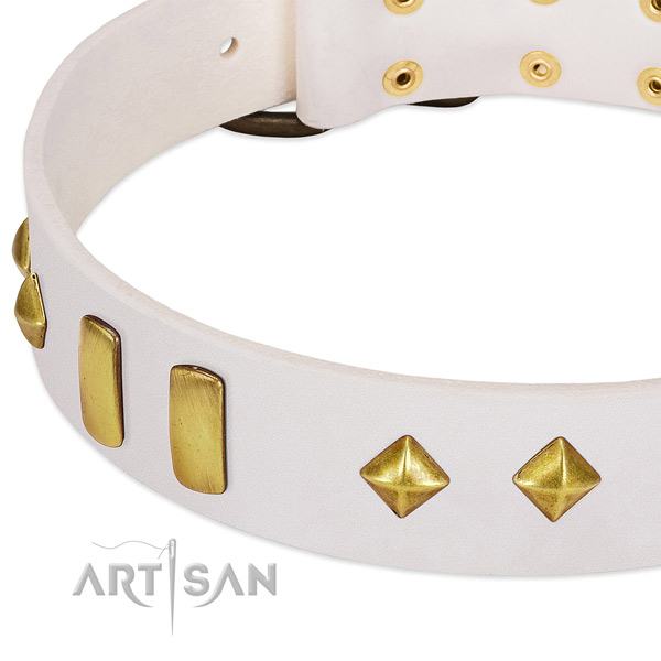 Walking genuine leather dog collar with unusual studs