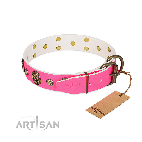 Reliable studs on full grain leather dog collar for your doggie