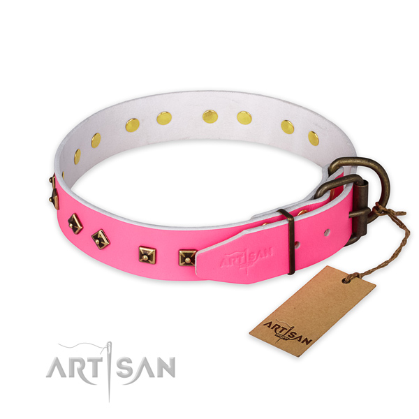 Durable fittings on genuine leather collar for stylish walking your doggie