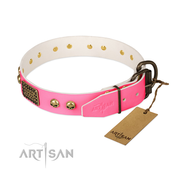 Rust-proof traditional buckle on easy wearing dog collar