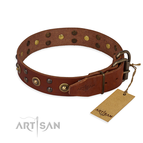 Rust resistant buckle on leather collar for your beautiful canine