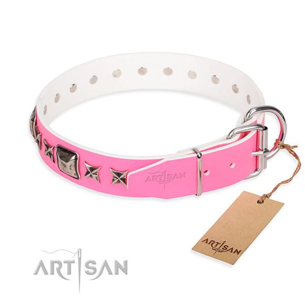 Reliable decorated dog collar of natural leather