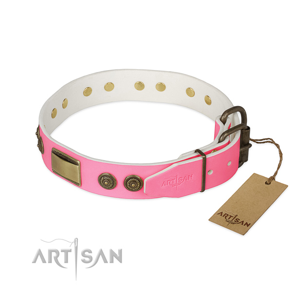 Rust-proof decorations on everyday walking dog collar