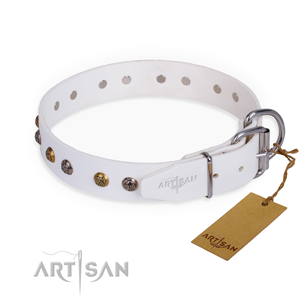 Full grain natural leather dog collar with trendy reliable studs