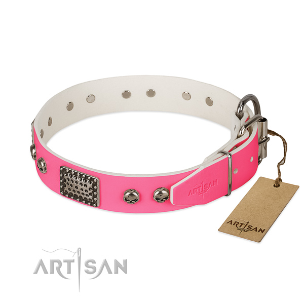 Corrosion proof studs on basic training dog collar