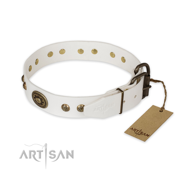 Corrosion resistant traditional buckle on genuine leather collar for everyday walking your dog