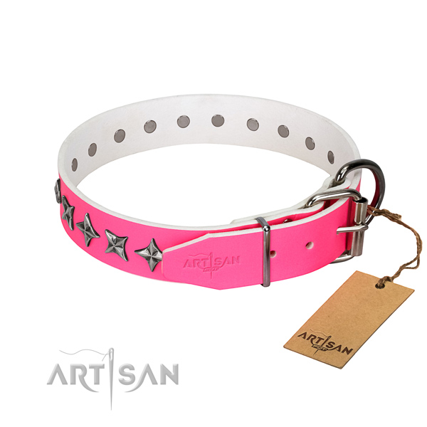 Best quality leather dog collar with amazing embellishments