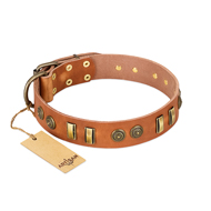 "Natural Beauty" FDT Artisan Tan Leather Belgian Malinois Collar with Old Bronze-like Circles and Plates