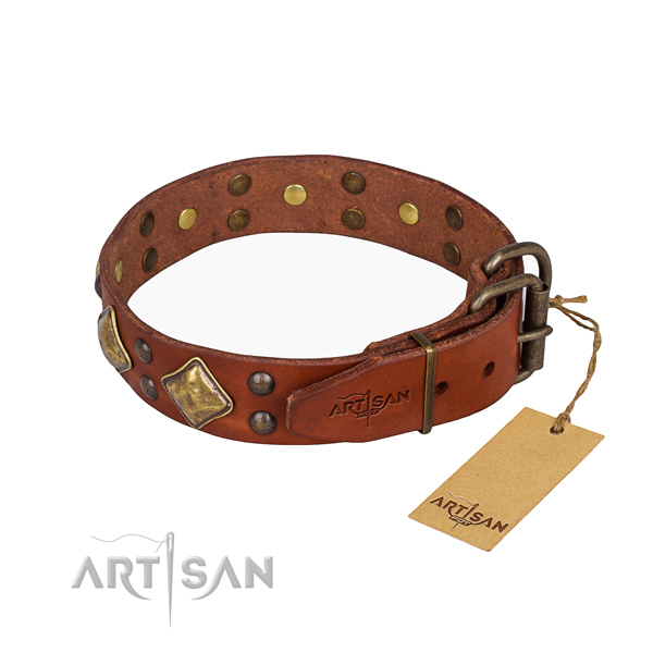 Genuine leather dog collar with amazing corrosion proof adornments