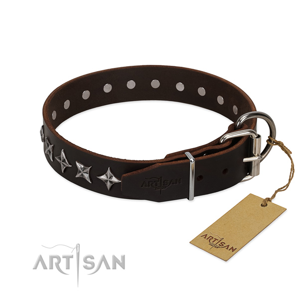 Fancy walking embellished dog collar of fine quality natural leather