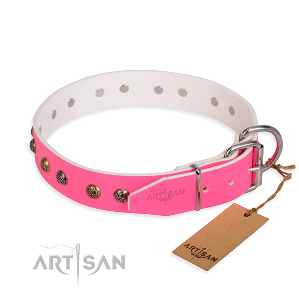 Full grain leather dog collar with stylish rust resistant decorations