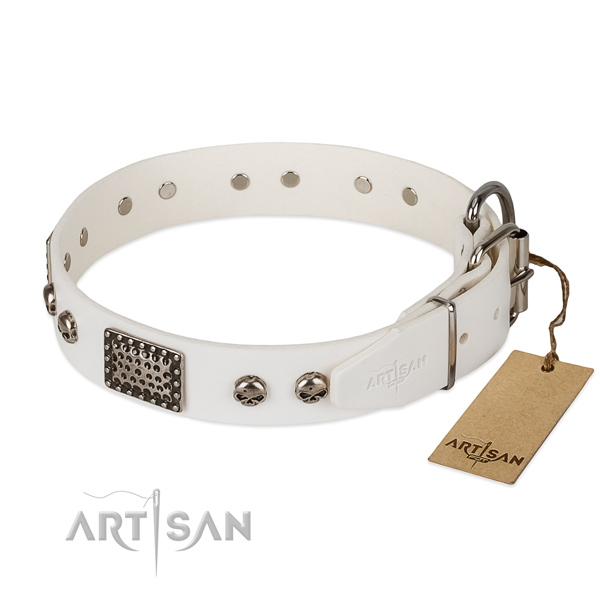 Durable D-ring on daily walking dog collar