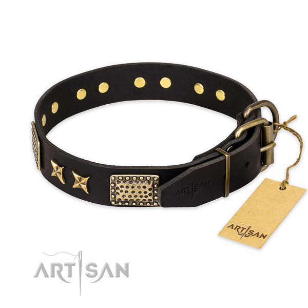 Strong hardware on genuine leather collar for your stylish four-legged friend