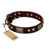 "Magic Amulet" Brown Leather Belgian Malinois Collar with Skulls and Plates