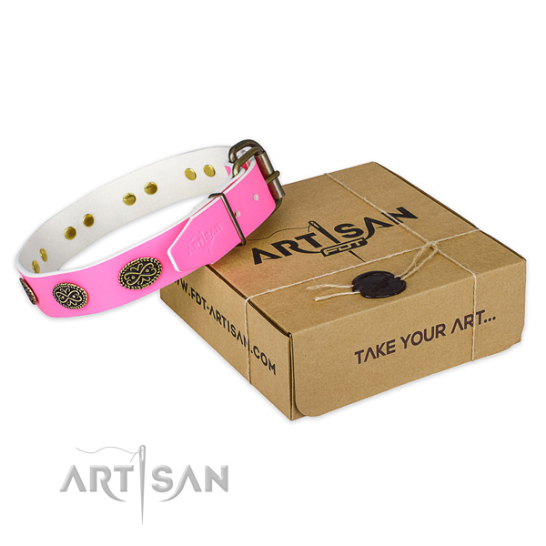 Decorated full grain leather dog collar for daily use