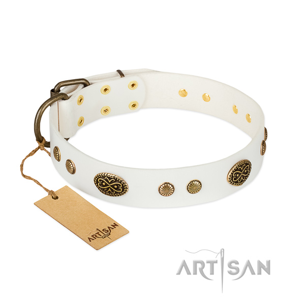 Corrosion resistant adornments on genuine leather dog collar for your dog