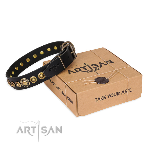 Reliable full grain leather dog collar created for handy use