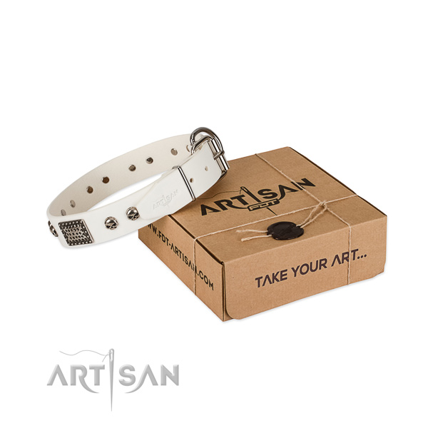 Corrosion resistant traditional buckle on dog collar for handy use