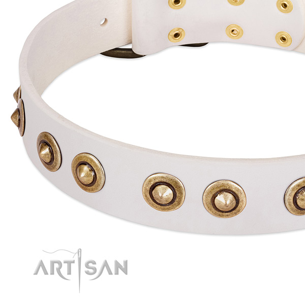 Durable adornments on leather dog collar for your canine