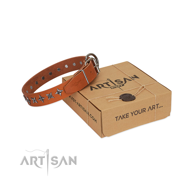 Everyday use dog collar of finest quality full grain leather with decorations