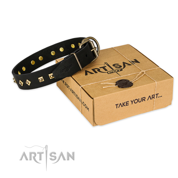 Corrosion resistant D-ring on full grain leather dog collar for everyday use