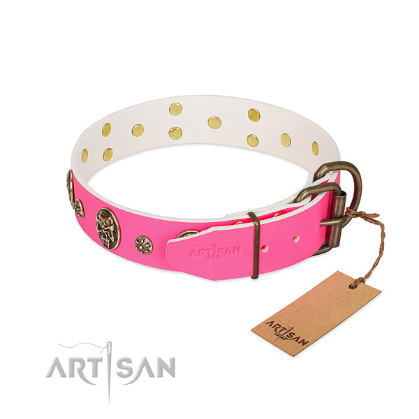 Rust resistant traditional buckle on full grain leather collar for stylish walking your doggie