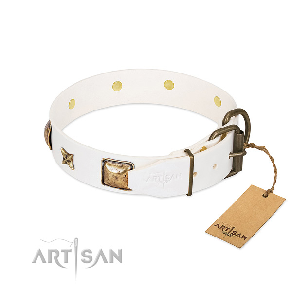 Full grain leather dog collar with reliable traditional buckle and studs