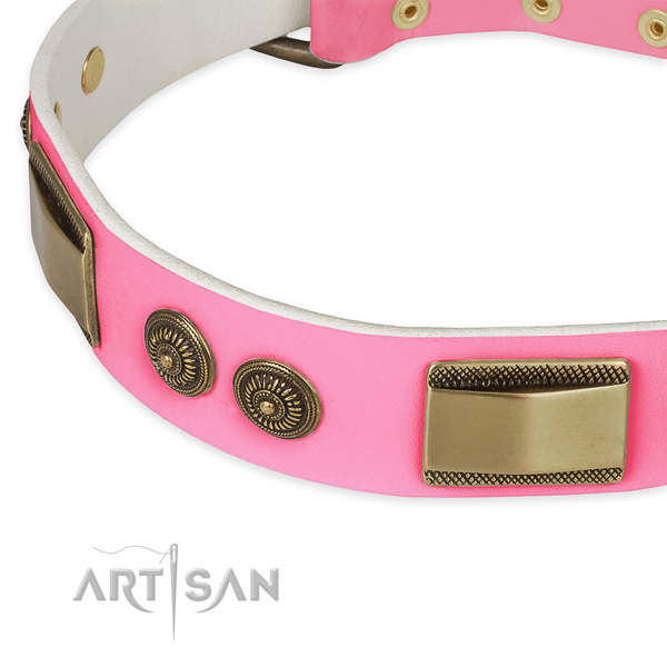 Natural genuine leather dog collar with adornments for stylish walking