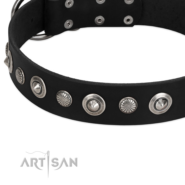 Stylish design studded dog collar of finest quality full grain genuine leather