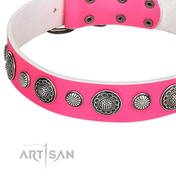 Full grain leather collar with corrosion resistant buckle for your beautiful pet