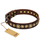 "Ancient Warrior" FDT Artisan Fancy Leather Belgian Malinois Collar with Old-Bronze Plated Decorations "Ancient Warrior" FDT Artisan Fancy Leather Belgian Malinois Collar with Old-Bronze Plated Decorations