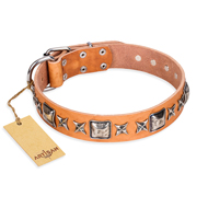 "Glamour Finery" FDT Artisan Female Belgian Malinois collar of natural leather with stylish old-looking circles