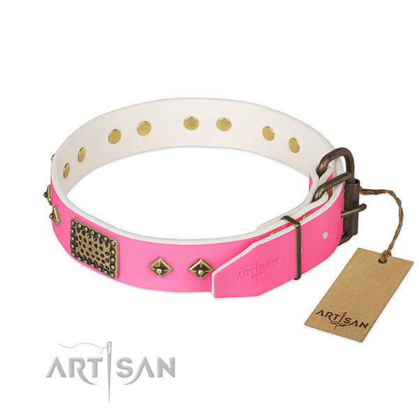 Corrosion proof adornments on everyday walking dog collar