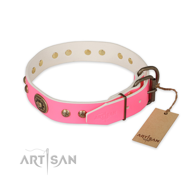 Durable fittings on full grain natural leather collar for fancy walking your four-legged friend