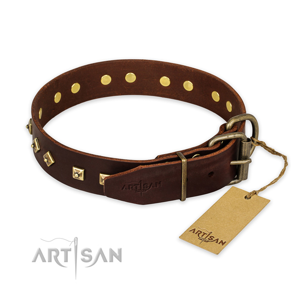 Strong hardware on leather collar for stylish walking your canine