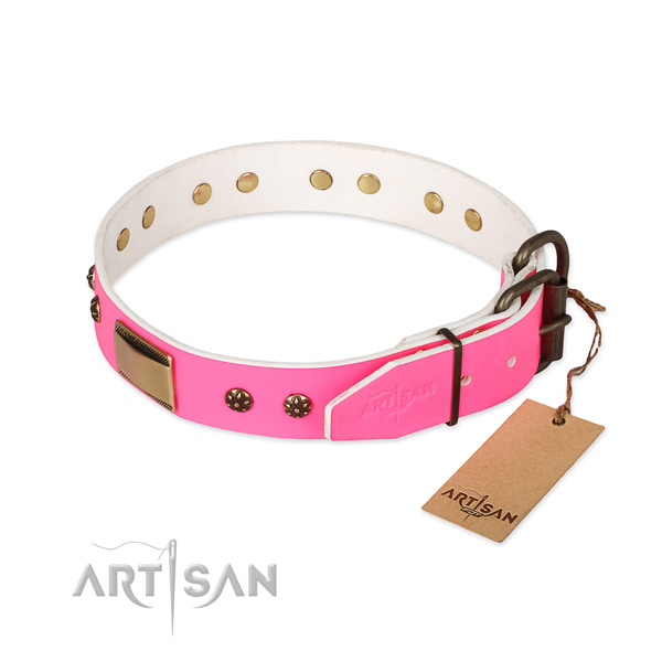 Durable studs on full grain leather dog collar for your four-legged friend
