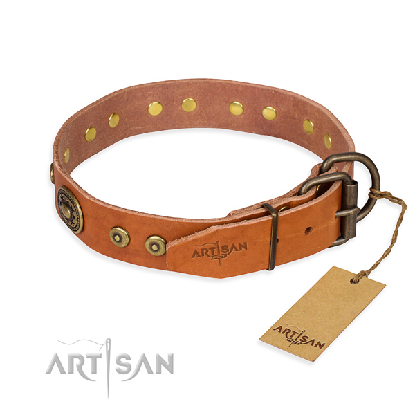 Leather dog collar made of top notch material with reliable studs