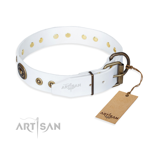 Full grain natural leather dog collar made of quality material with corrosion resistant embellishments