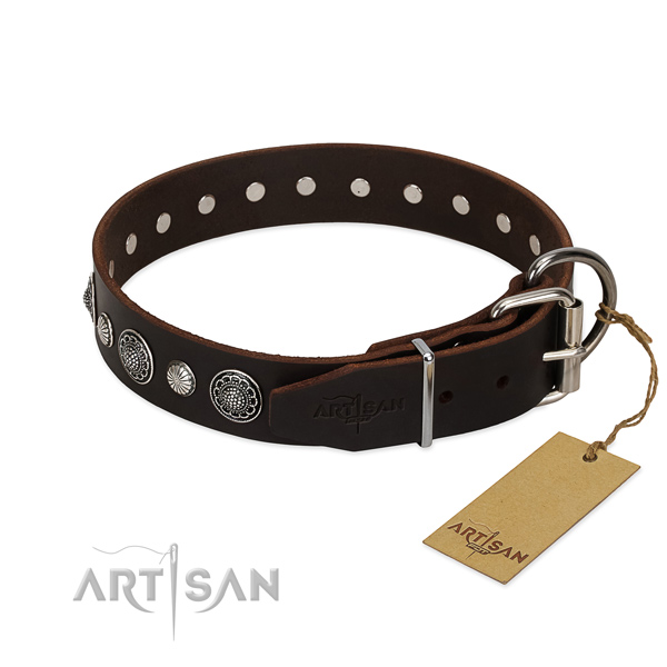 Top notch full grain genuine leather dog collar with remarkable adornments