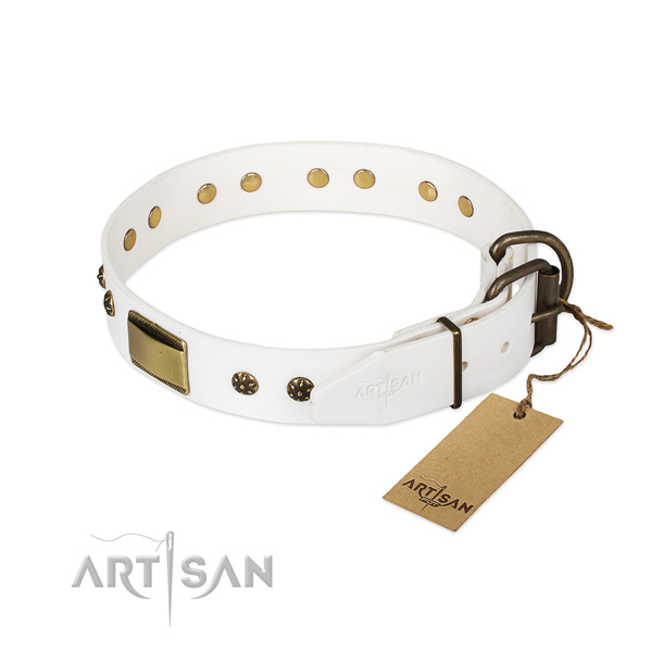 Natural genuine leather dog collar with rust resistant fittings and embellishments