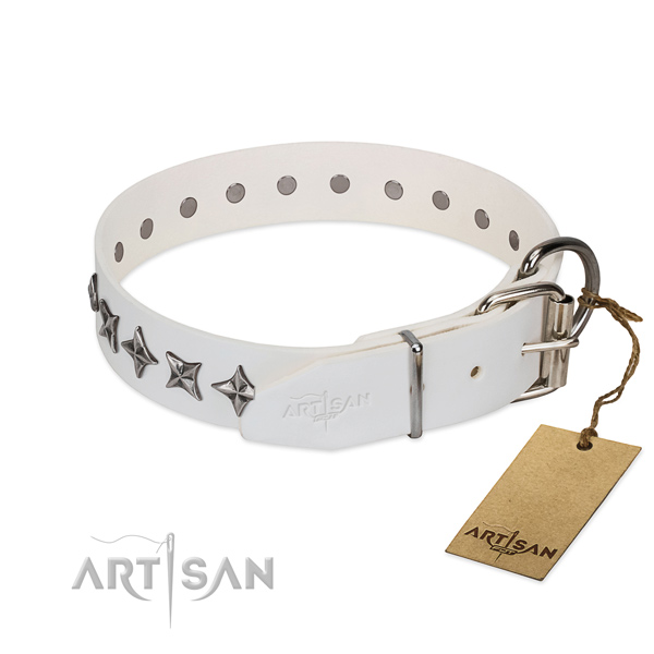 Walking studded dog collar of quality natural leather