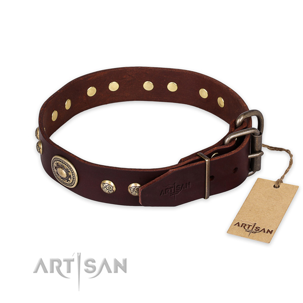 Durable traditional buckle on genuine leather collar for daily walking your doggie